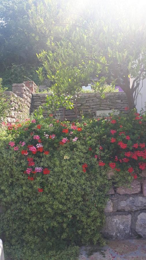 Vila Lucice Petrovac Екстериор снимка