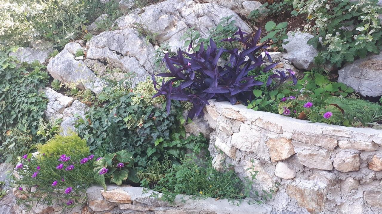 Vila Lucice Petrovac Екстериор снимка